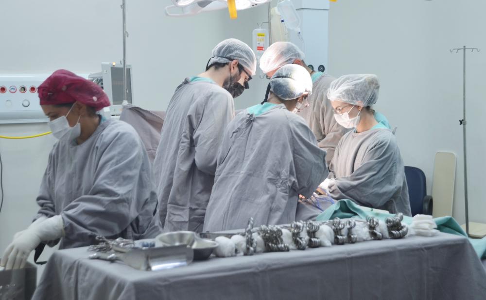 Tocantins avança na captação de órgãos 