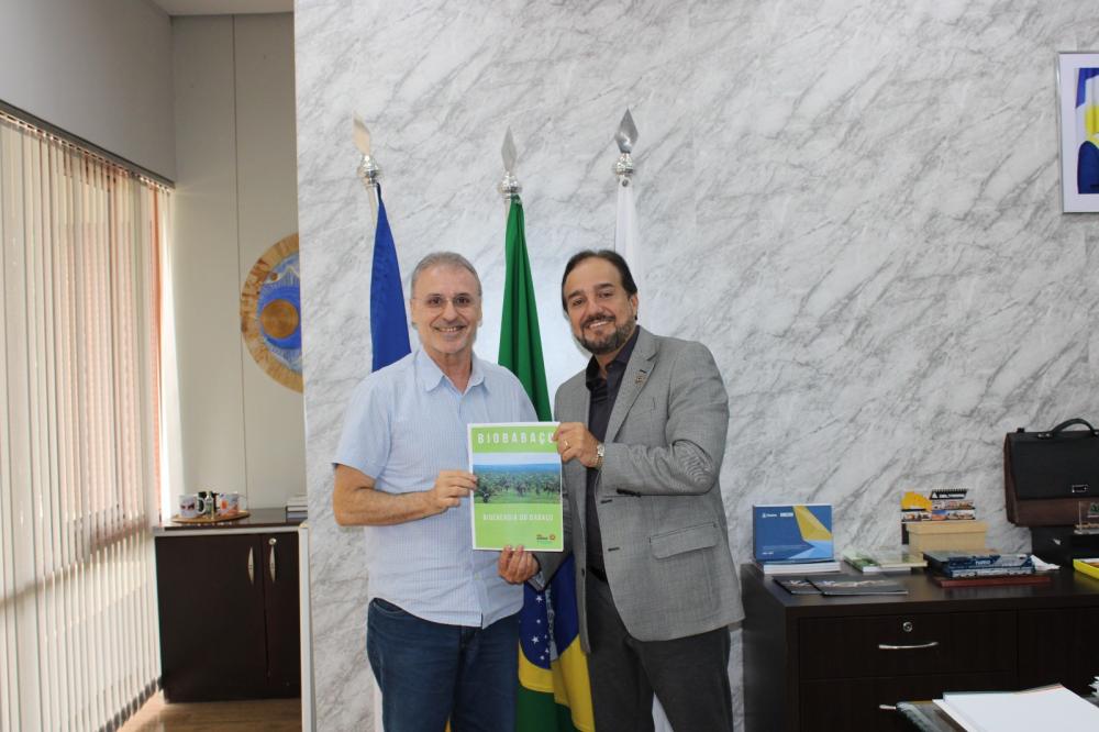 Empresa do norte do Tocantins quer investir bioenergia do babaçu 