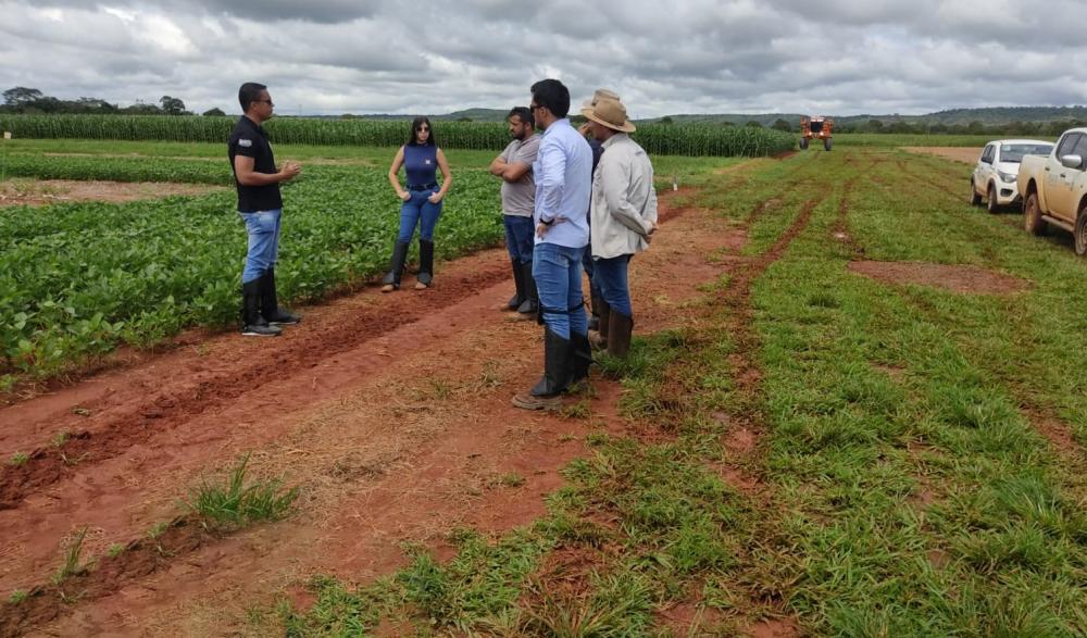 Tocantins recebe autorização para manutenção de cultivo excepcional de soja nas Planícies Tropicais e Pesquisa Científica/Ensino