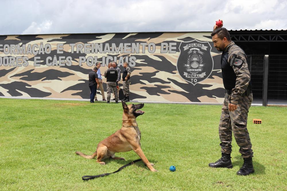 Seciju inaugura Centro de Formação e Treinamento de Operações e Cães Policiais
