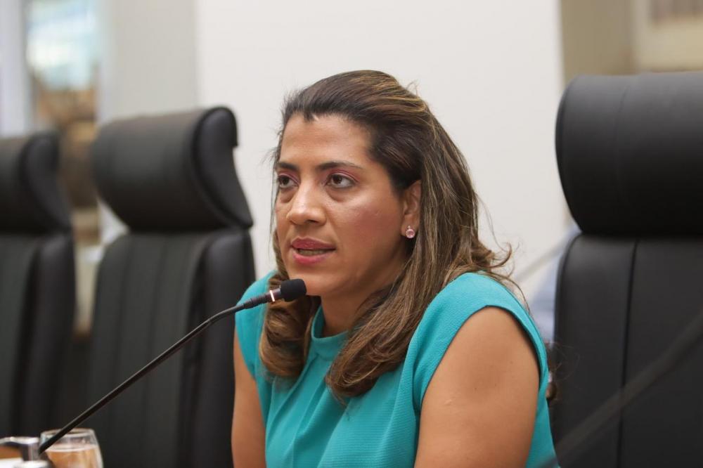 Vereadora Elaine Rocha solicita pavimentação em quadra do plano diretor sul de Palmas