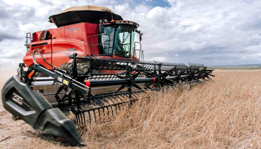 Agronegócio ganha destaque nos 100 primeiros dias de governo