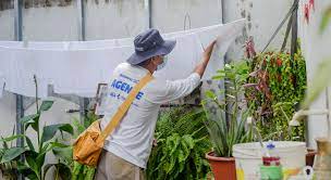 Casos de suspeitas de dengue crescem em Palmas