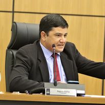 Vereador Rogério Freitas requer serviços de arborização em avenida de Palmas