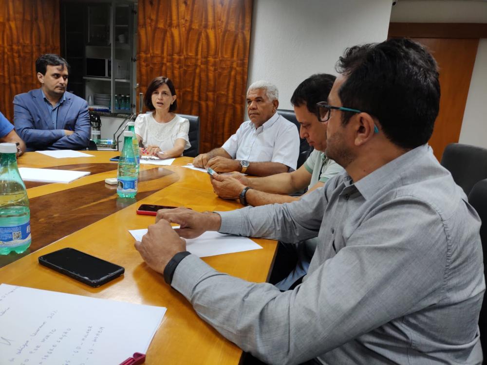 Sindicatos de servidores no Tocantins se unem contra prejuízos propostos na Reforma da Previdência