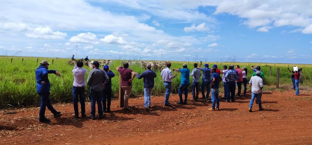 Ruraltins e ABCZ realizam treinamento sobre melhoramento genético de bovino 