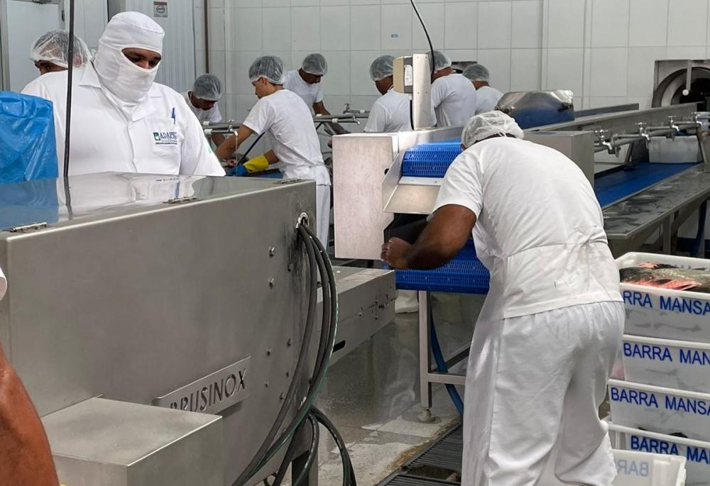 Entreposto de pescado em Brejinho de Nazaré faz adesão ao Serviço de Inspeção Estadual