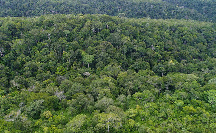 Tocantins sedia encontro de representantes dos órgãos ambientais estaduais 