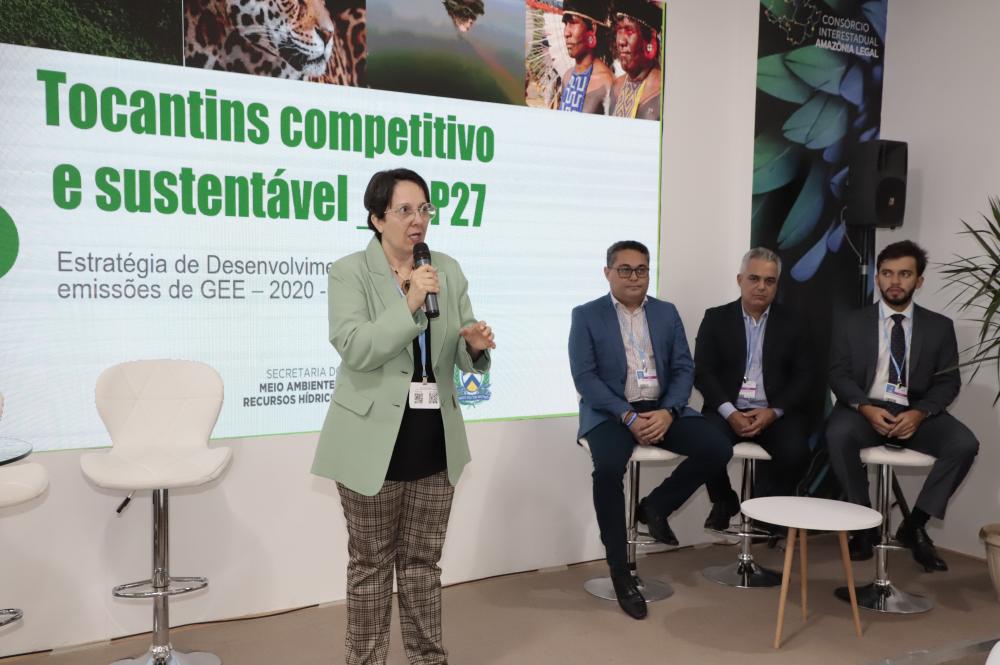 Tocantins busca comprador para créditos de carbono “vintage” na COP27