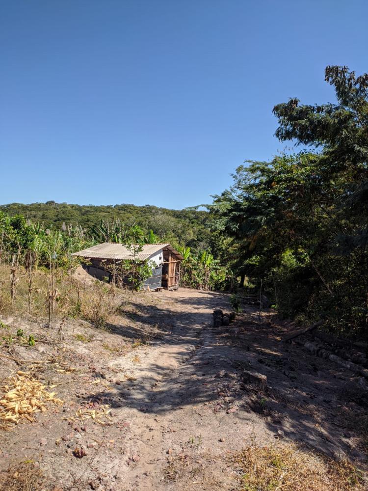 Em Novo Acordo, Polícia Civil prende idoso condenado a 14 anos de prisão por estupro de vulnerável