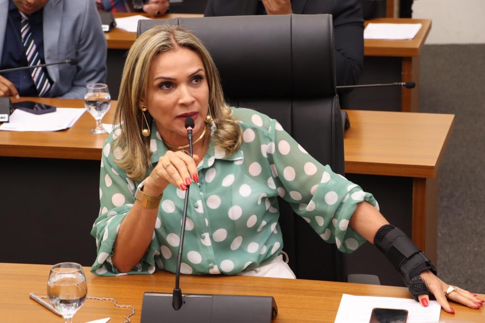 Vereadora Laudecy Coimbra solicita construção de praça e infraestrutura comunitária na Quadra 509 Sul