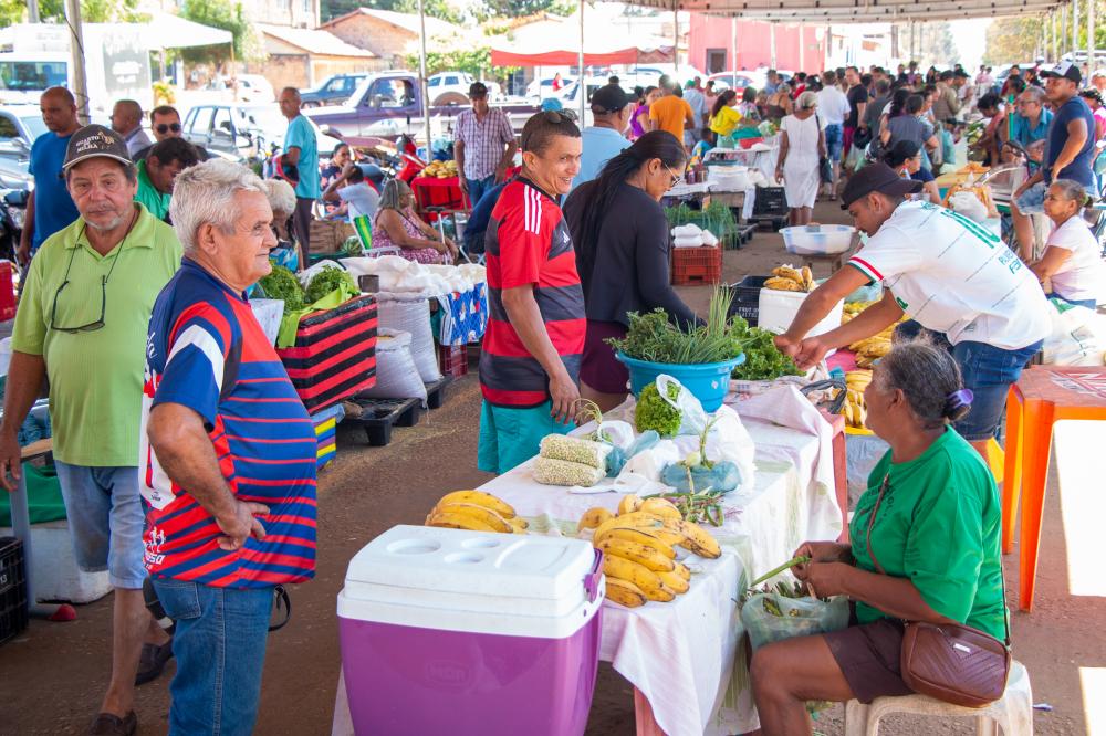 Feiras Ecosol geram renda para centenas de famílias no Bico do Papagaio
