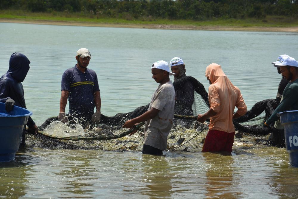 Com ações e programas, Governo investe no fortalecimento e desenvolvimento da agricultura familiar