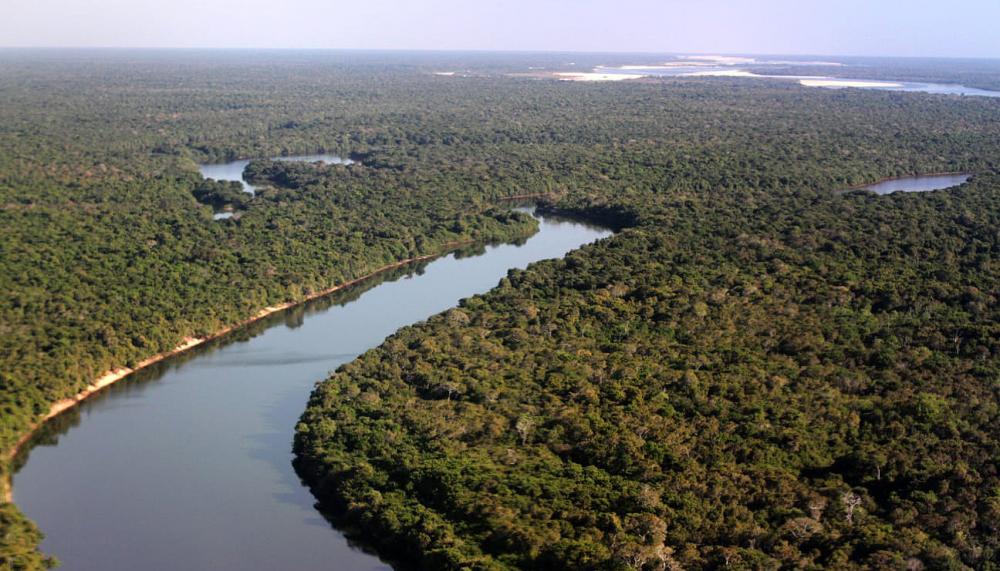 Meio Ambiente: Governo do Tocantins investe em política de sustentabilidade econômica 