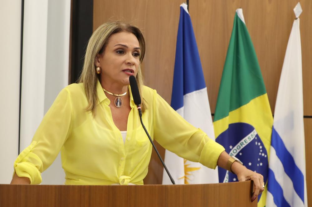 Laudecy Coimbra diz que há indícios de que havia uma organização criminosa agindo na estrutura administrativa da Prefeitura de Palmas