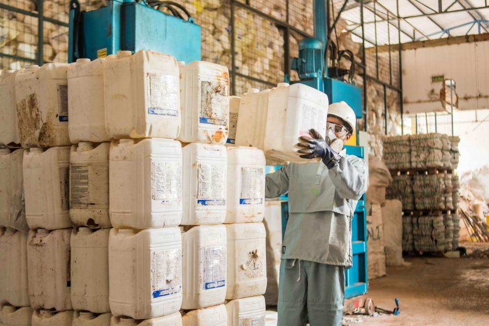 Dia do Campo Limpo: Governo destaca avanços na política de controle de agrotóxicos 