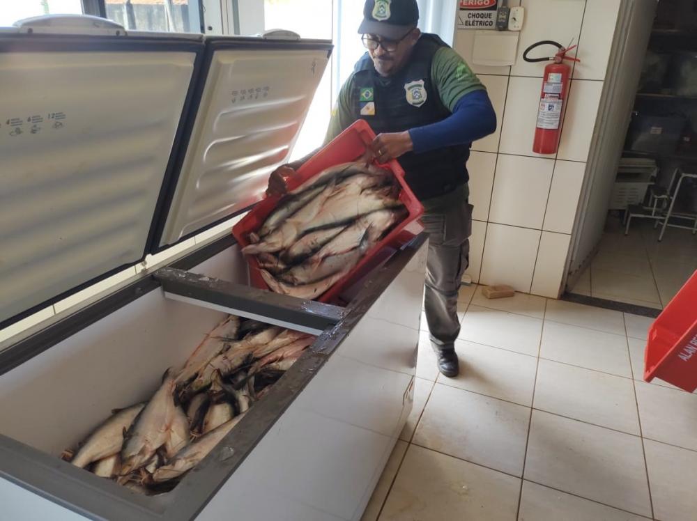 Operação Malha Fina realiza apreensão e doação de 880 kg de pescado