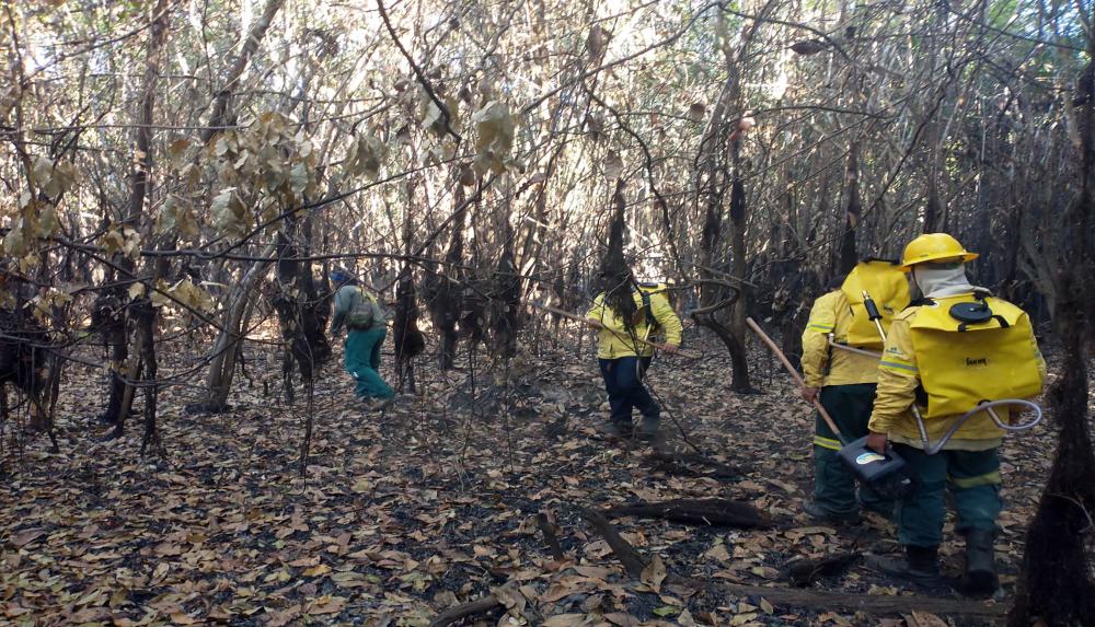 Brigadistas combatem incêndios no Cantão 