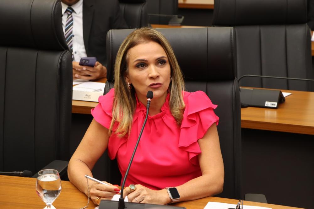 Laudecy Coimbra expôs posicionamento contrário a legalização do aborto