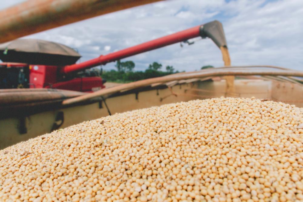 Governo do Tocantins fomenta agronegócio e Estado se torna o maior produtor de grãos da região Norte