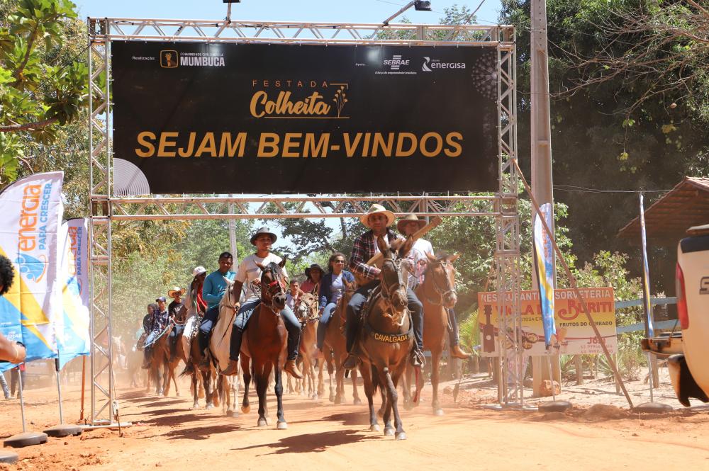 Festa da Colheita do capim-dourado inicia nesta sexta-feira