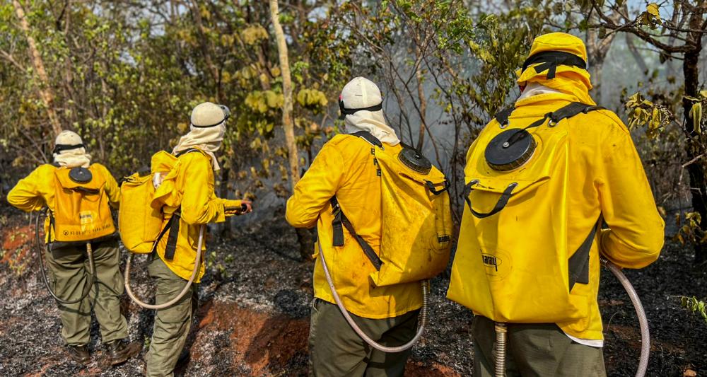 Taquaruçu: bombeiros militares e brigada estadual evitam incêndio em casas, mas plantios de mamão e limão ficam destruídos