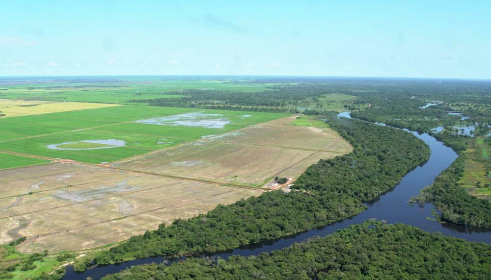 Aos 35 anos, Tocantins projeta se tornar referência mundial na produção agrícola com responsabilidade ambiental
