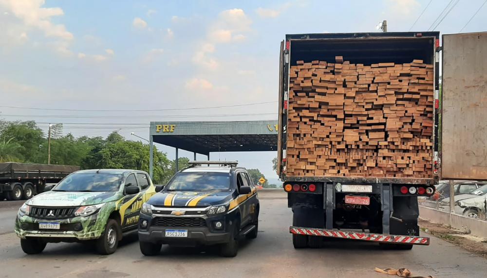 Em operação para coibir crimes ambientais, Naturatins apreende mais de 146 metros cúbicos de madeira