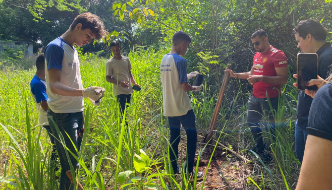 Comitês de Bacias Hidrográficas do Tocantins coletam quase 10 toneladas de sementes do Cerrado para produção de mudas