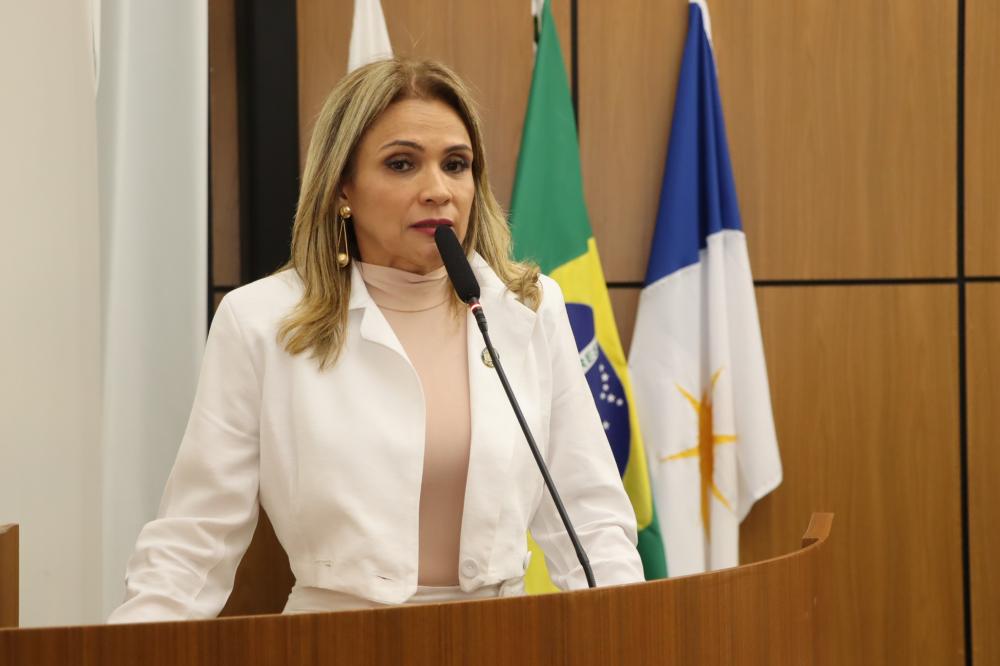 Aprovado requerimento de Laudecy Coimbra para recapeamento asfáltico da 203 Norte