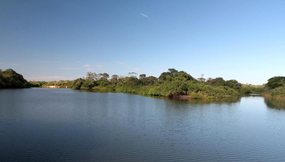 Governo do Tocantins publica edital para viabilizar venda de créditos de carbono