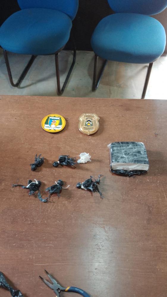 Em Rio Sono, Polícia Civil prende homem investigado por atear fogo à residência da ex-exposa