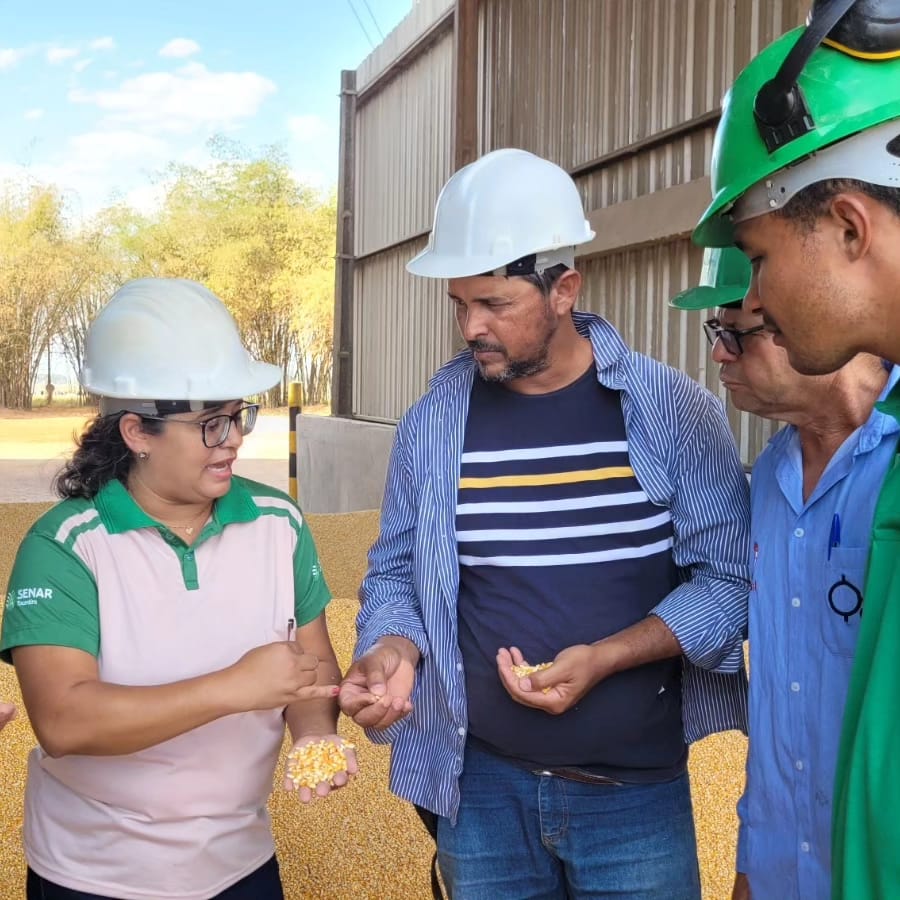 Ações do Senar/TO beneficiam mais de 26 mil pessoas em 2023
