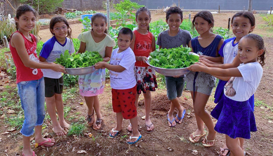 Escola Rural de Nova Rosalândia transformou a horta escolar num laboratório de aprendizagens