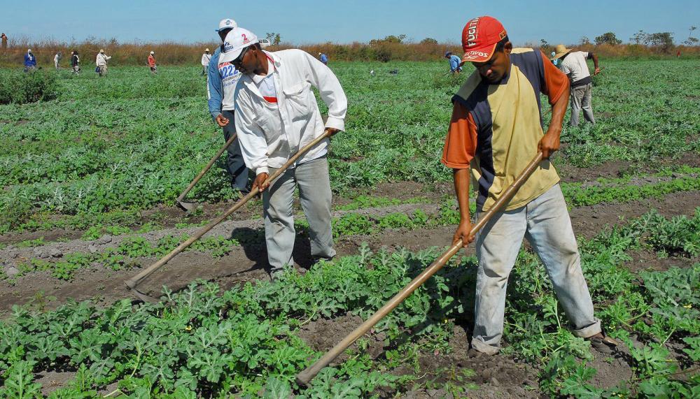 Governo do Tocantins vai investir mais de R$ 600 mil em treinamento e capacitação de técnicos do Ruraltins para ampliar o crédito rural