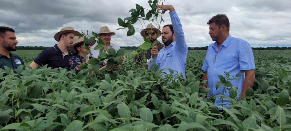 Representantes da Embaixada Americana visitam lavouras de soja no sul do Tocantins