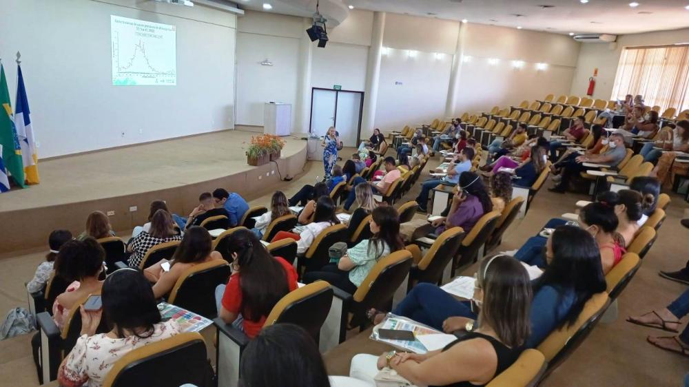 Tocantins está em alerta para casos de Chikungunya