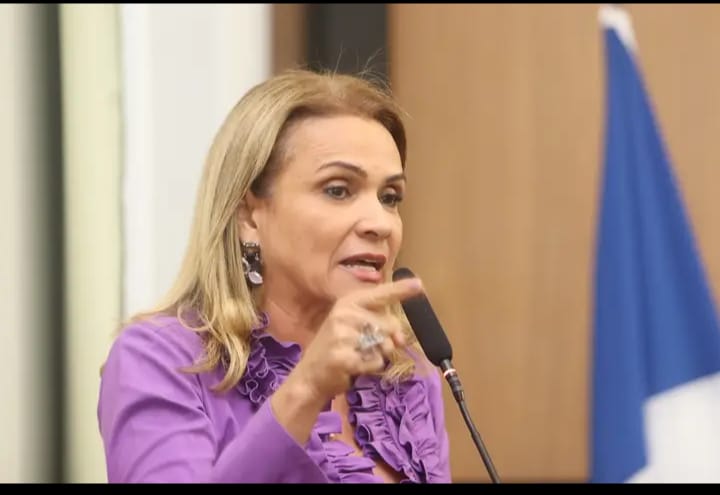  Vereadora Laudecy Coimbra cobra transparência na gestão do Transporte Coletivo de Palmas