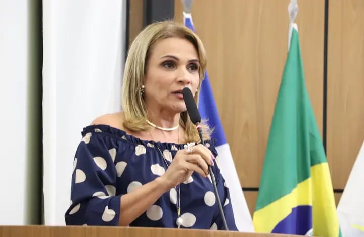 Laudecy relata problemas na saúde e educação de Palmas em tribuna 