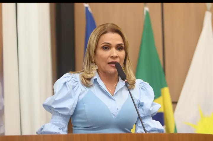Vereadora Laudecy Coimbra denuncia falta de comprometimento com servidores da saúde e descaso com transporte escolar em Palmas