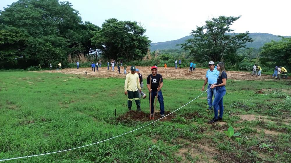 Governo do Tocantins promove capacitação em Sistemas Agroflorestais e Meliponicultura a acolhidos da Fazenda da Esperança