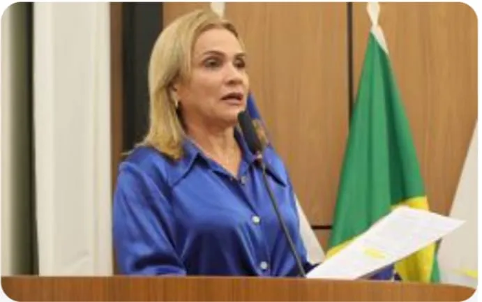 Construção de Praça com quadra poliesportiva, academia, parquinho e paisagismo é solicitada por Laudecy Coimbra para a 407 Sul