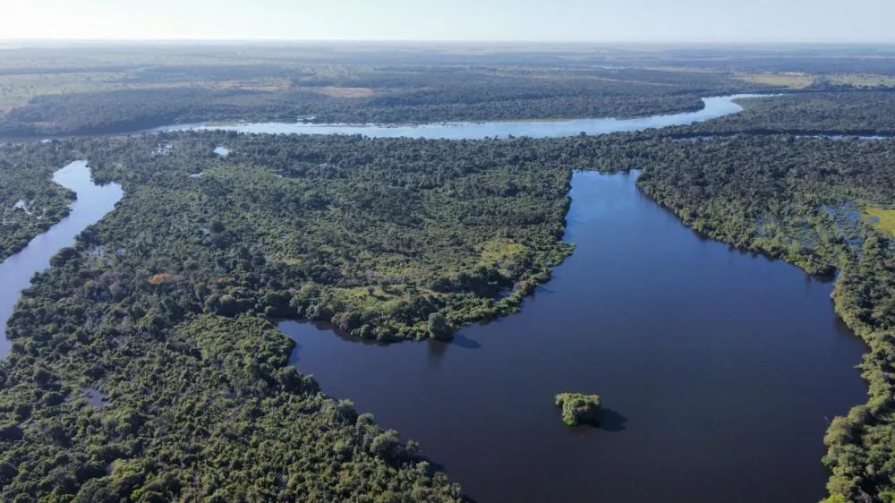 Governo do Tocantins realiza mapeamento de sítios de aves migratórias no Cantão para prevenção à influenza aviária
