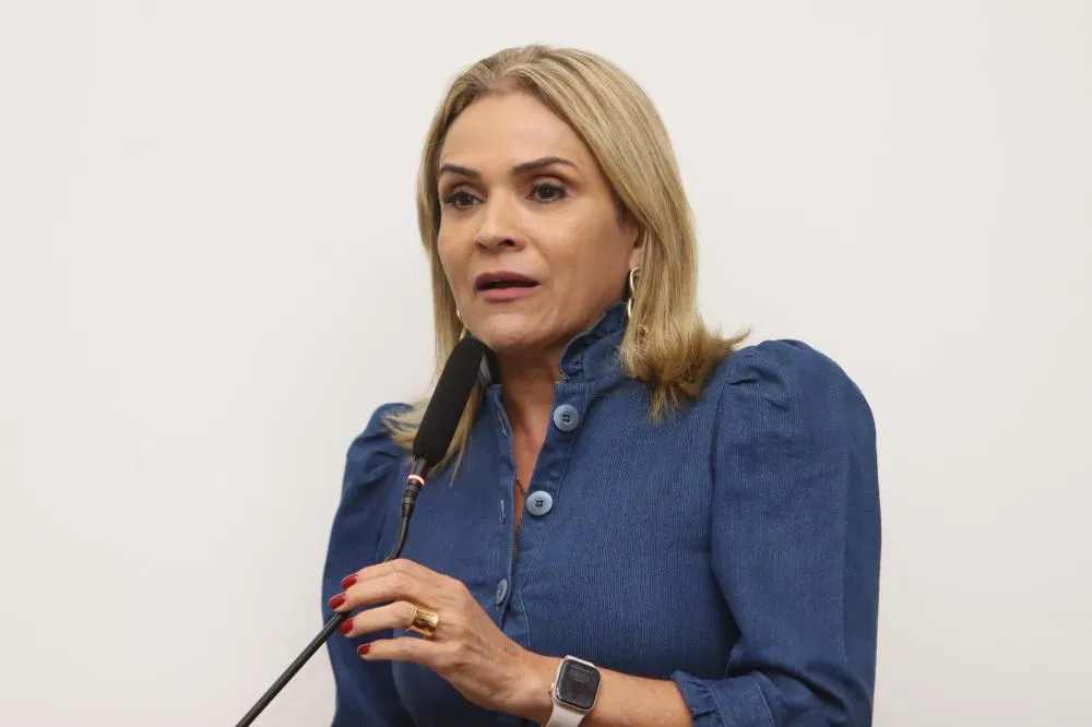 Laudecy Coimbra sugere encaminhamento para a expansão da rede de energia elétrica aos Bairros que não contam com esse serviço 