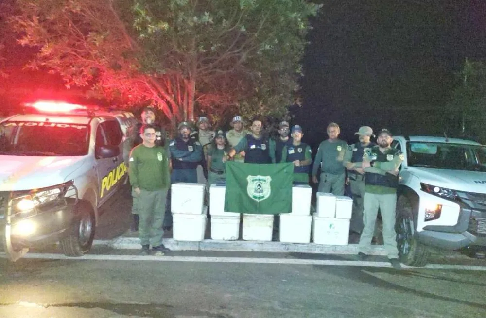 Operação do Naturatins apreende cerca de 200 kg de pescado e aplica mais de R$ 15 mil em multas