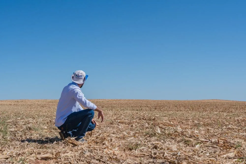Governo do Tocantins anuncia período do vazio sanitário da soja a partir do dia 1º de julho
