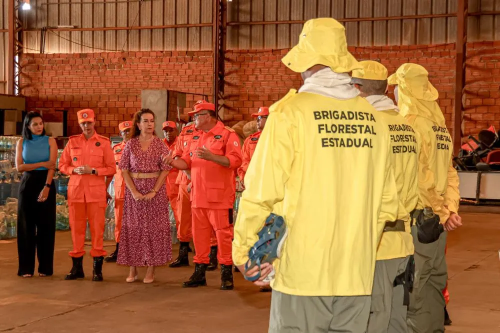 Tocantins Mais Verde: Governo do Tocantins reforça combate aos incêndios florestais com a contratação de brigadistas em nove municípios