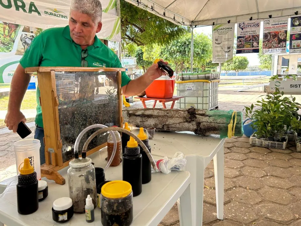 Governo do Tocantins apresenta tecnologia de produção de abelhas na Feira da Colheita em Sampaio