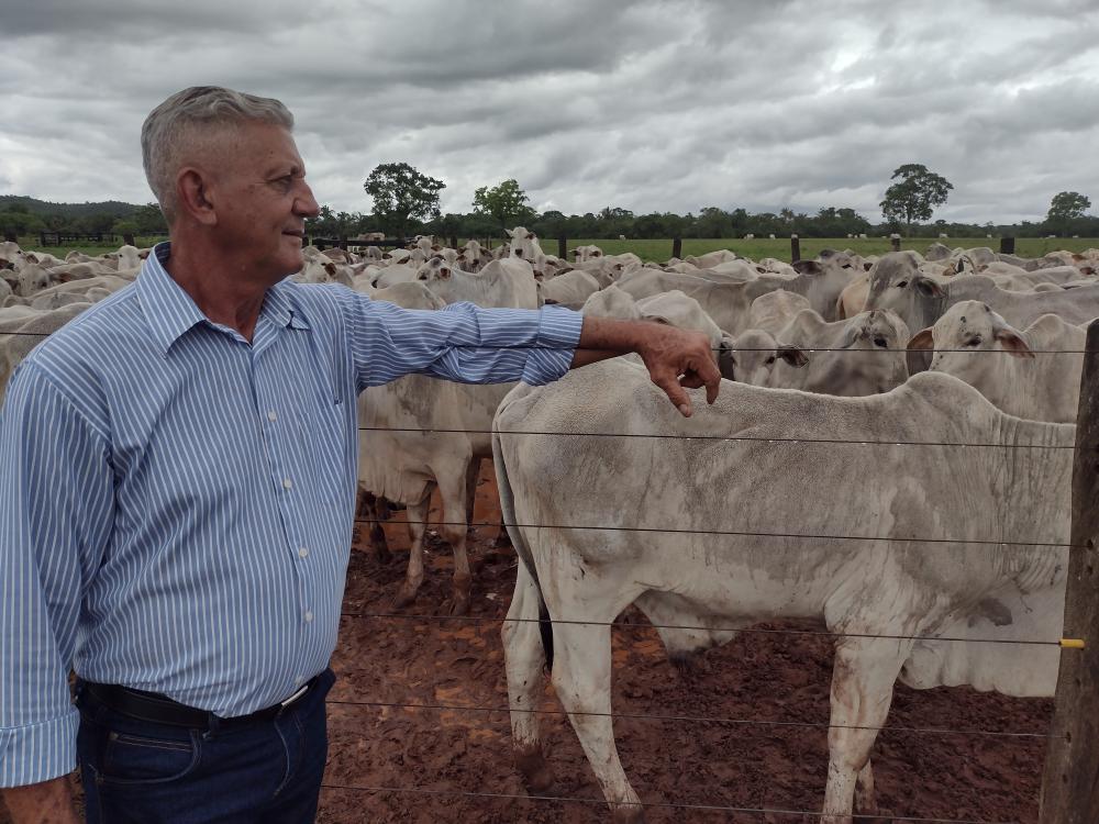 Fundeagro lança campanha para conscientizar produtores sobre retirada da vacinação contra febre aftosa no Tocantins 