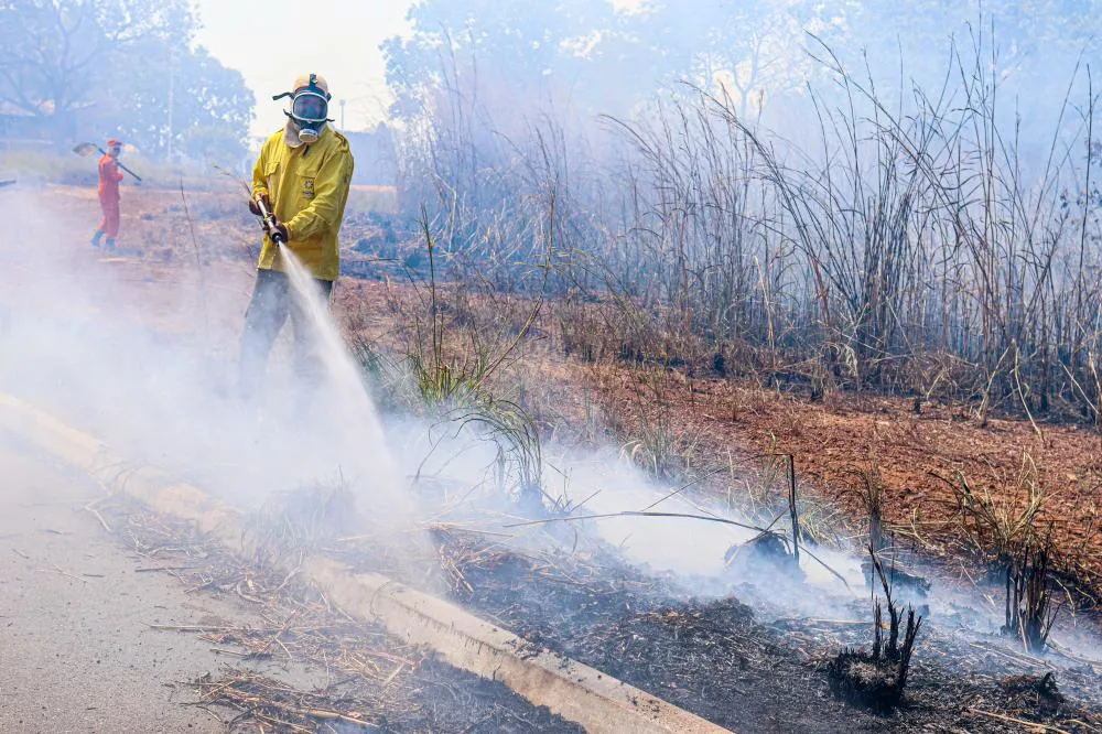Bombeiros militares e brigadistas combatem incêndio florestal em área de 118 mil metros quadrados em Palmas